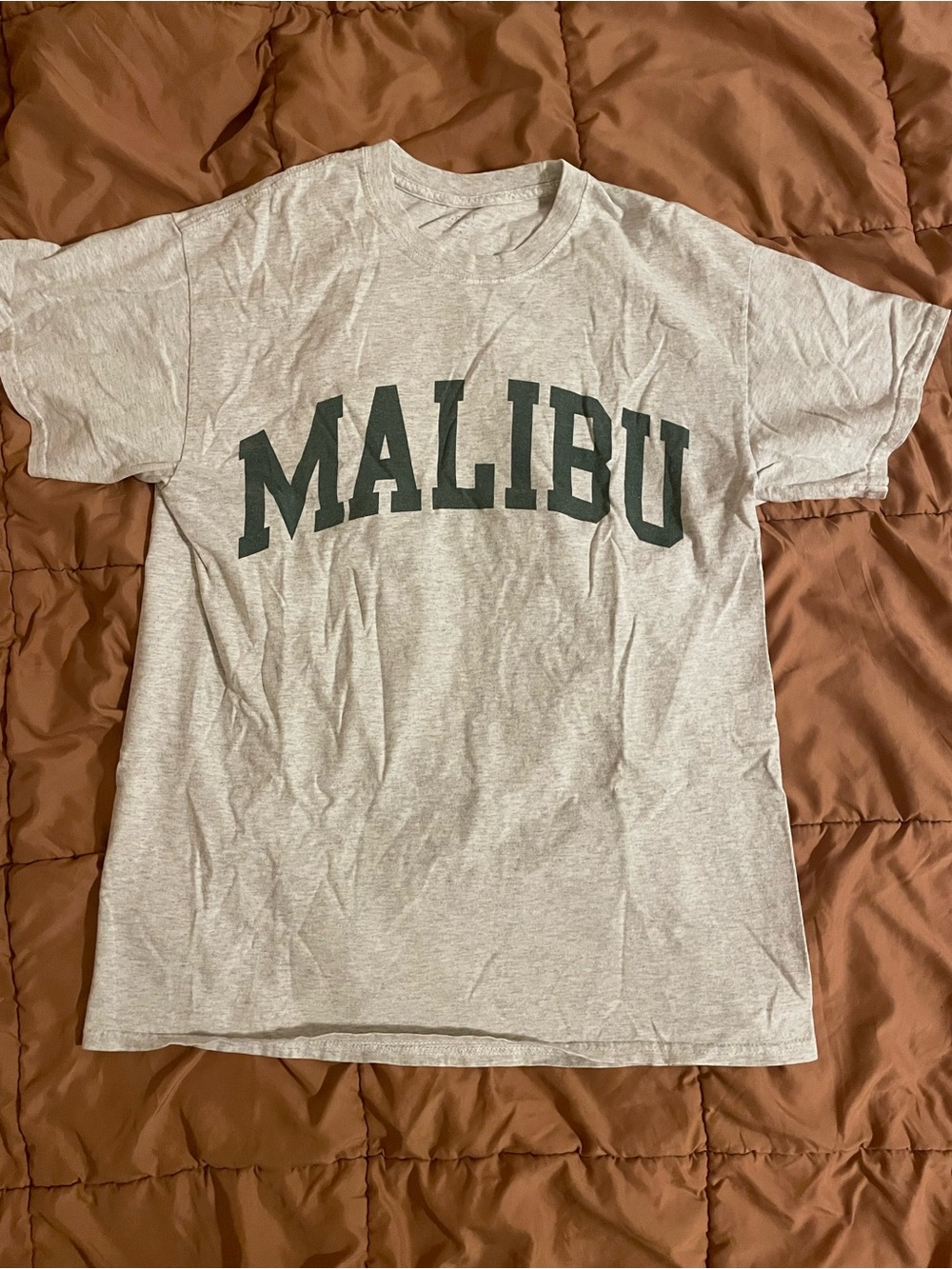 Brandy light grey oversized Malibu Graphic Tee